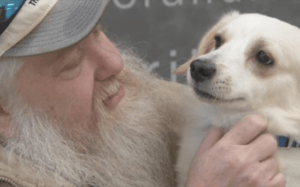 Local Shelter Helps Broken-Hearted Disabled Man Find A New Best Friend