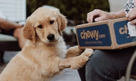10% Off Chewy eGift Cards + BIG Savings on Pet Food, Treats & More